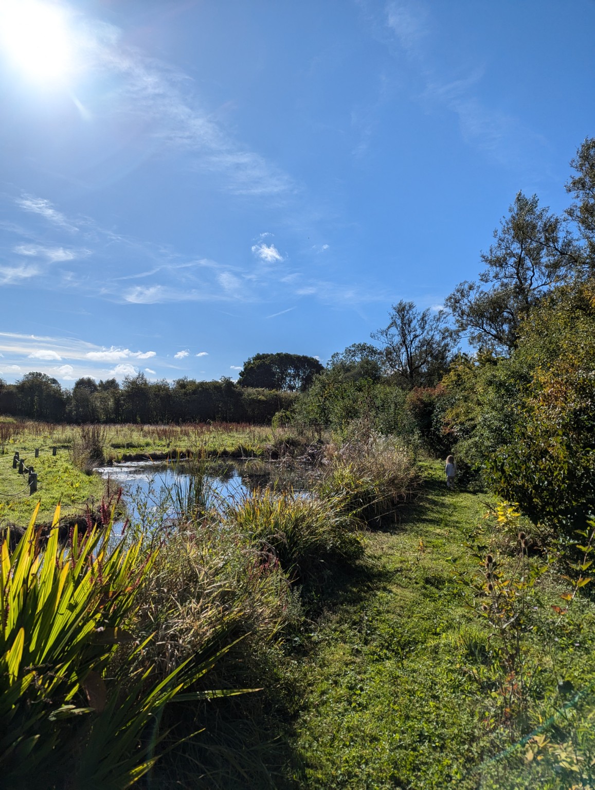 The path down through the grounds towards the wildlife pond.