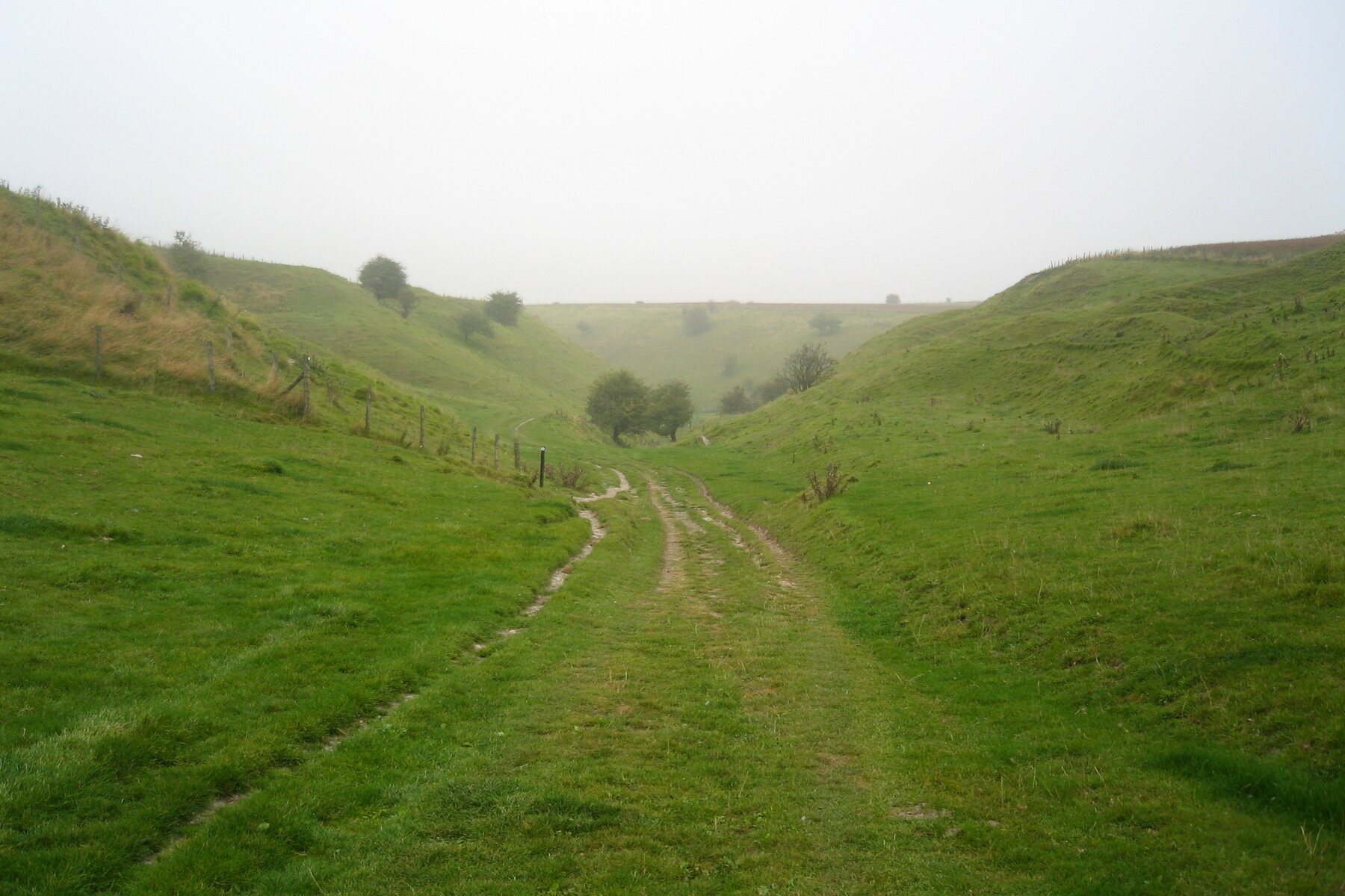 The path down from the Ridgeway across open Wiltshire downland.